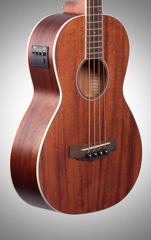 Ibanez PNB14E Performance Parlor Acoustic Electric Bass Guitar, Open Pore Natural