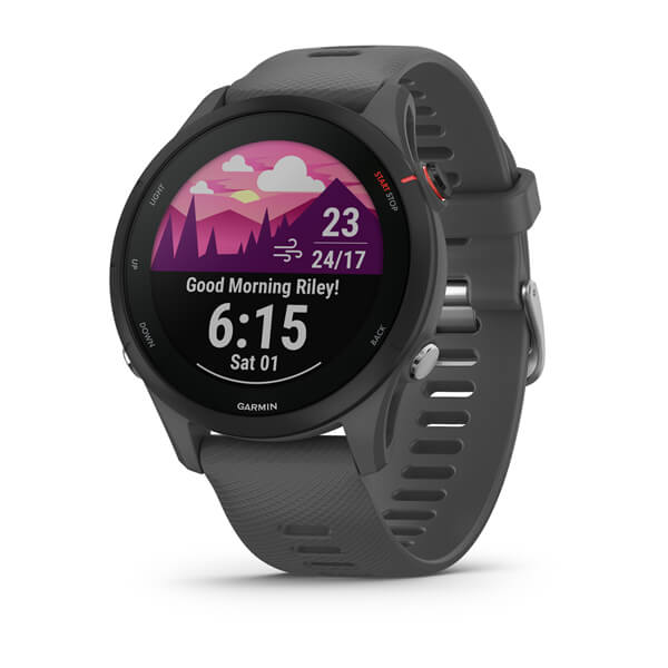 Smartwatch Garmin Forerunner 255, Slate Gray