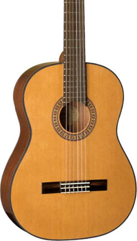 Acoustic guitar Washburn C40 Nylon-String Classical Guitar, Natural