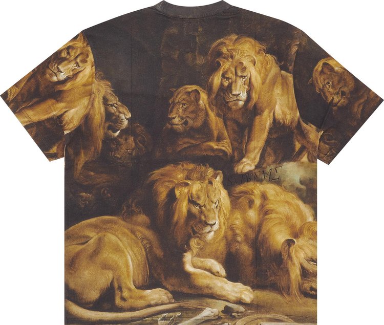 Supreme Lion's Den Short-Sleeve Top 'Multicolor' T-Shirt, Multicolor