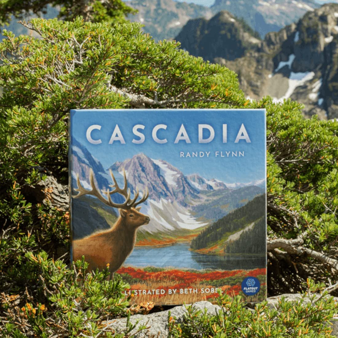 Alderac Entertainment Group (AEG) Board Game: Cascadia