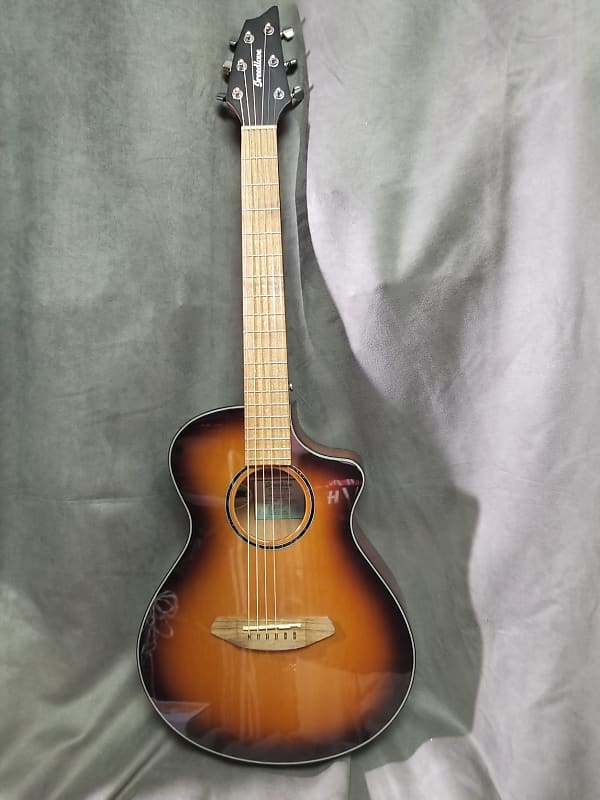 Breedlove Discovery S Companion CE Edgeburst