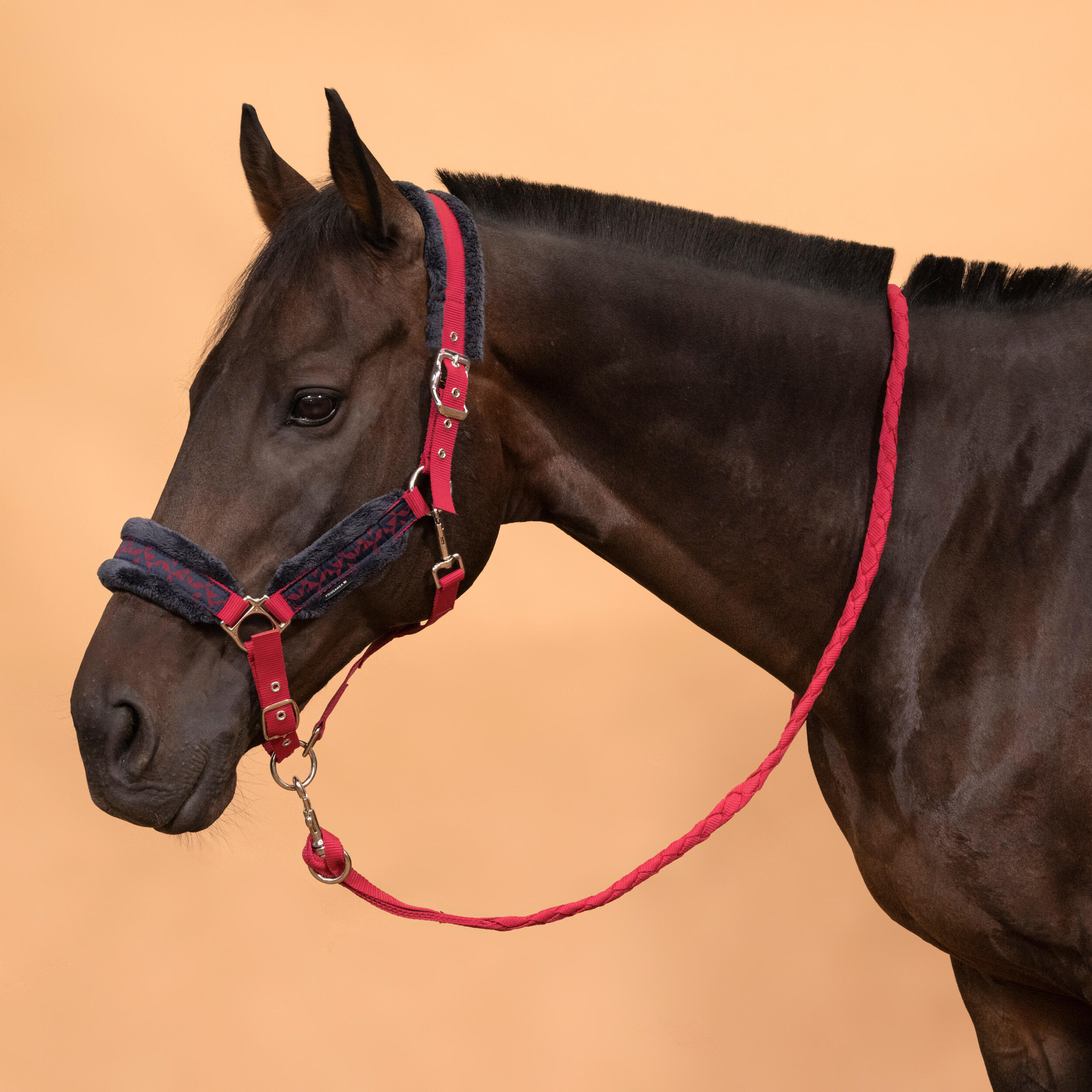 Fouganza halter + Comfort leash pony horse, red