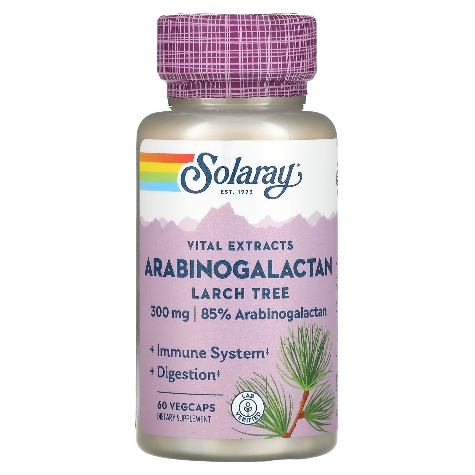 Solaray Arabinogalactan larch extract 300 mg, 60 vegetarian capsules