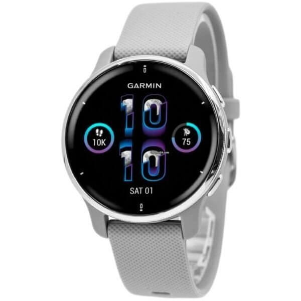 Smartwatch Garmin VENU 2 Plus, silver/gray