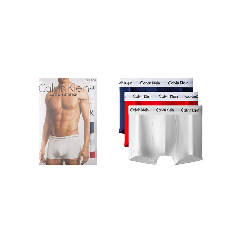 Men's Briefs Calvin Klein