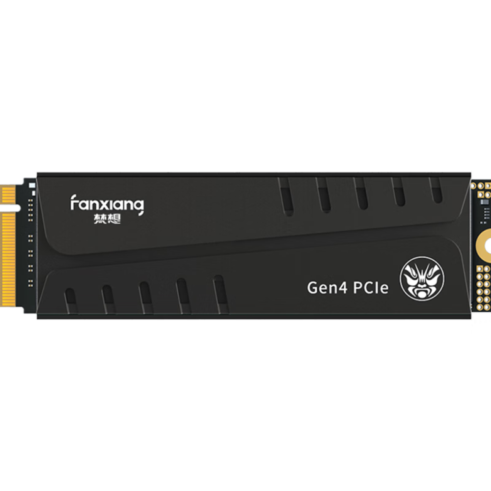 Fanxiang S770 1TB SSD