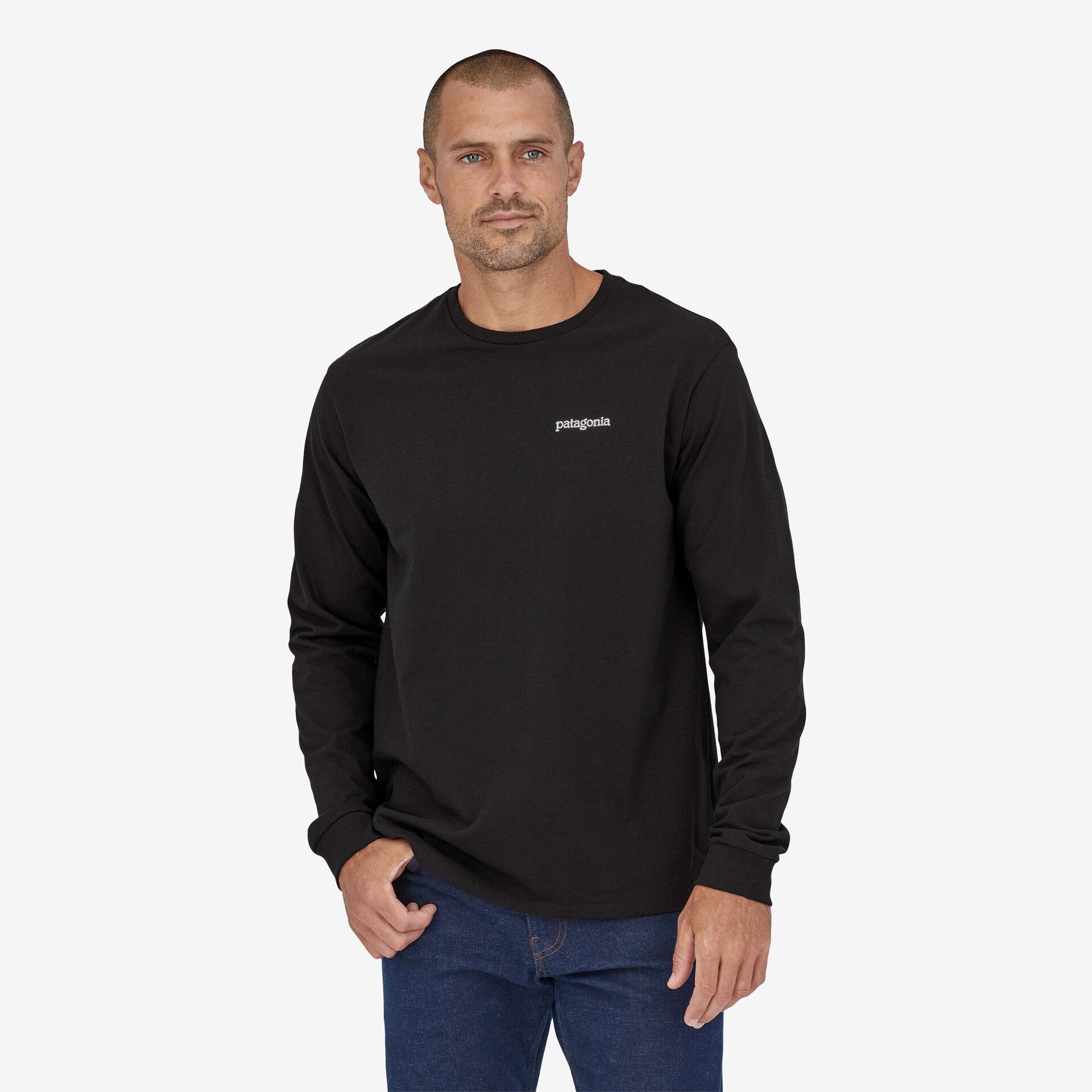 Patagonia Men's Fitz Roy Horizons Responsibili Long Sleeve T-Shirt, Black