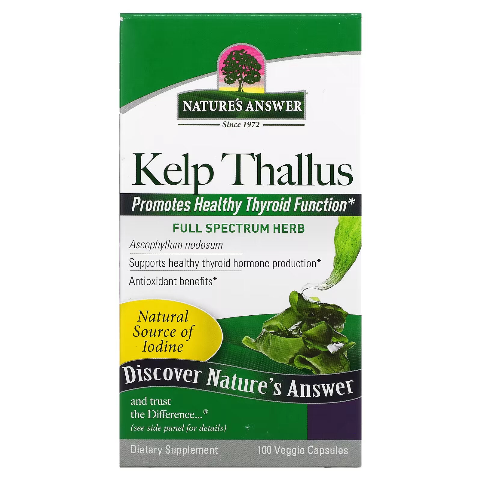 Nature's Answer, Kelp, 100 Capsules