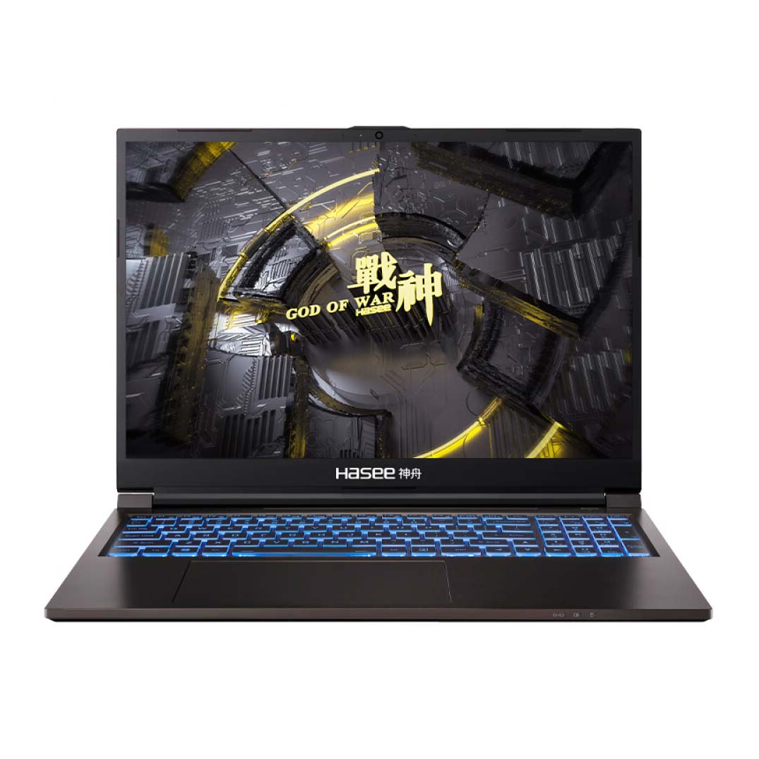 Gaming laptop Hasee Ares TX8R9 16'', 16GB/1TB, i9-13900HX, RTX 4060, black, English keyboard