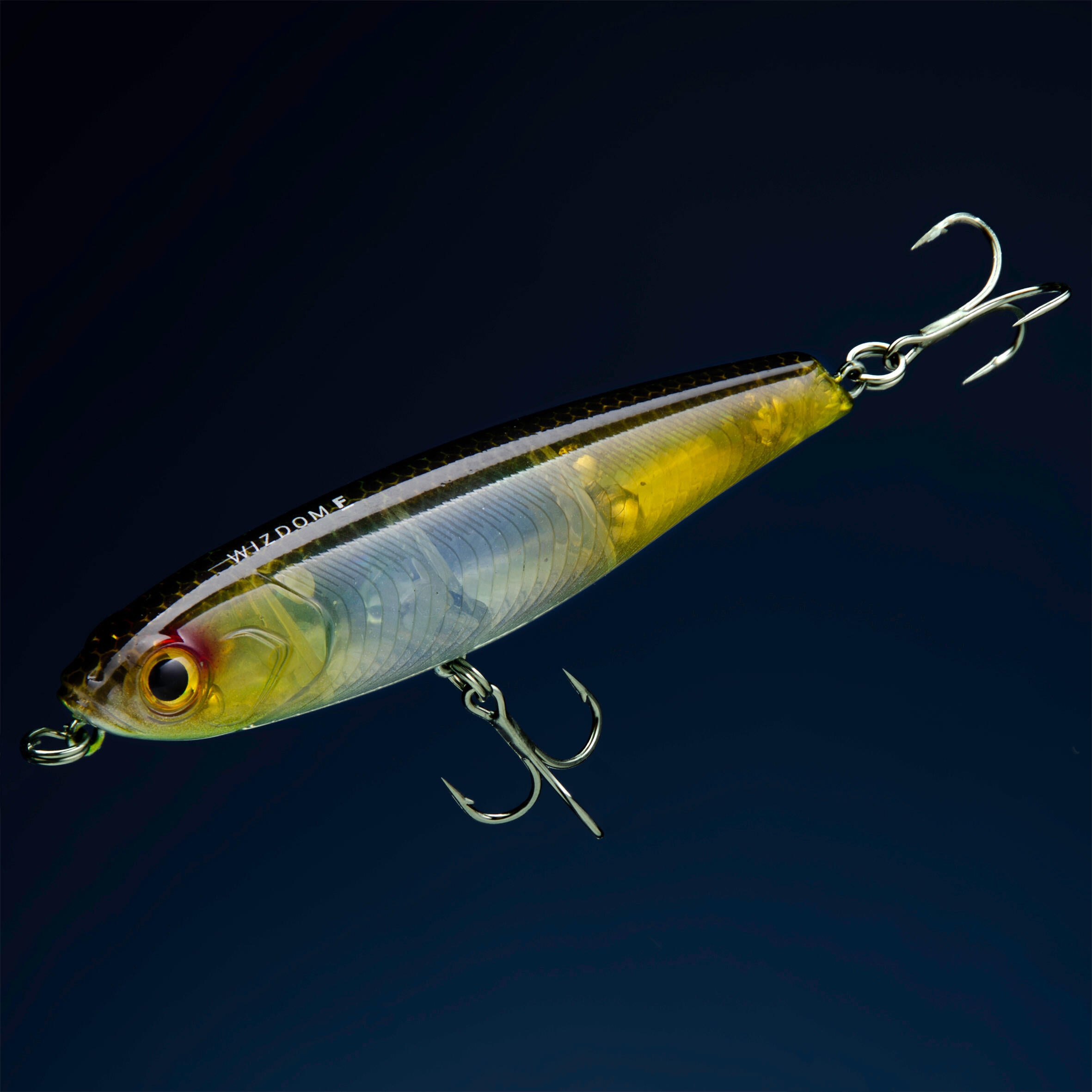 Wobbler WIZDOM 95F Ghost bait CAPERLAN