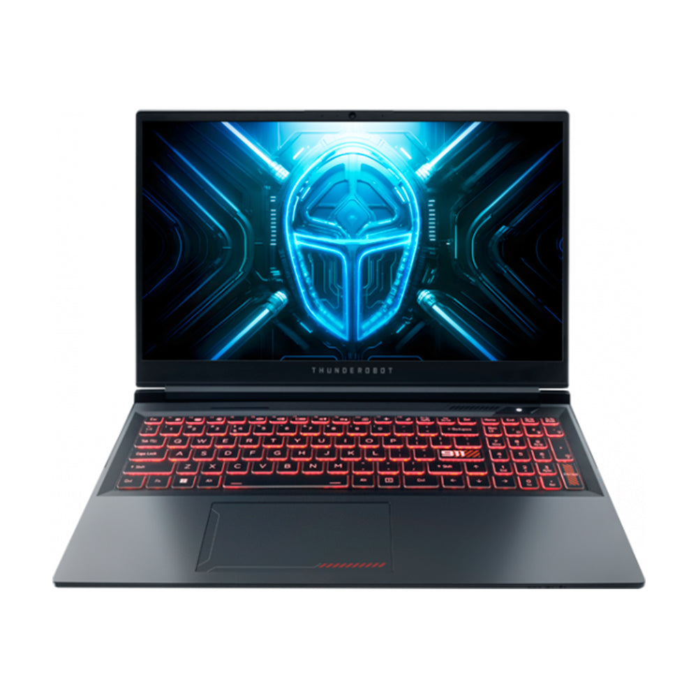 Gaming laptop ThundeRobot Blade 15 2024, 15.6", 16 GB/1 TB, i9-14900HX, RTX4060, gray, English keyboard