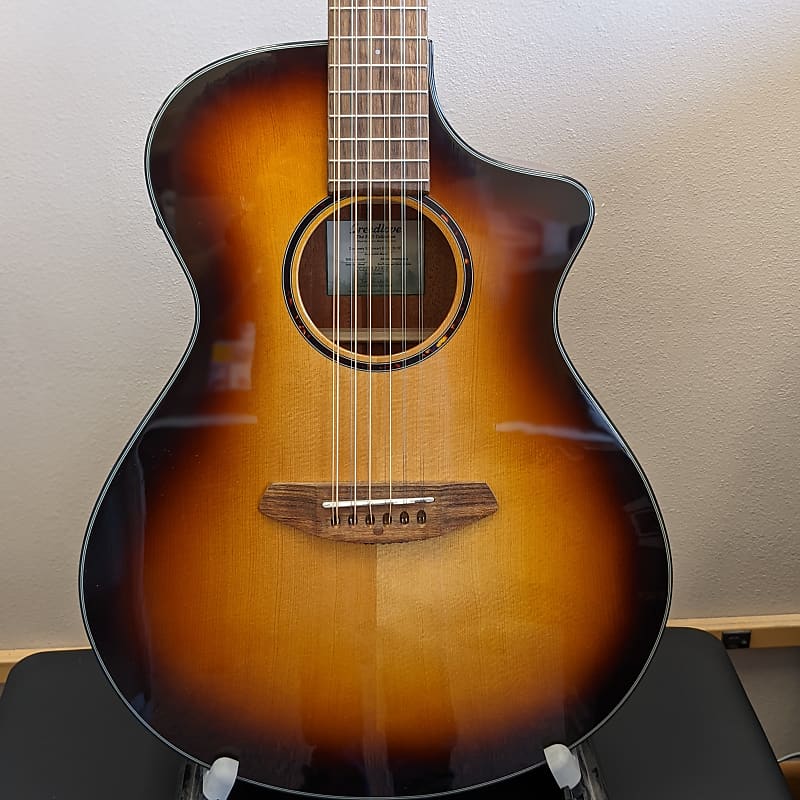 Breedlove Discovery S Concert CE 12-String - Edgeburst