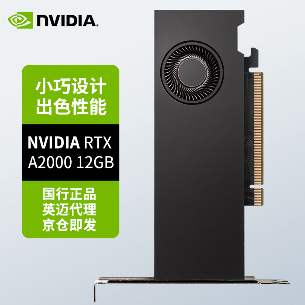 بطاقة فيديو احترافية NVIDIA RTX A2000 12GB