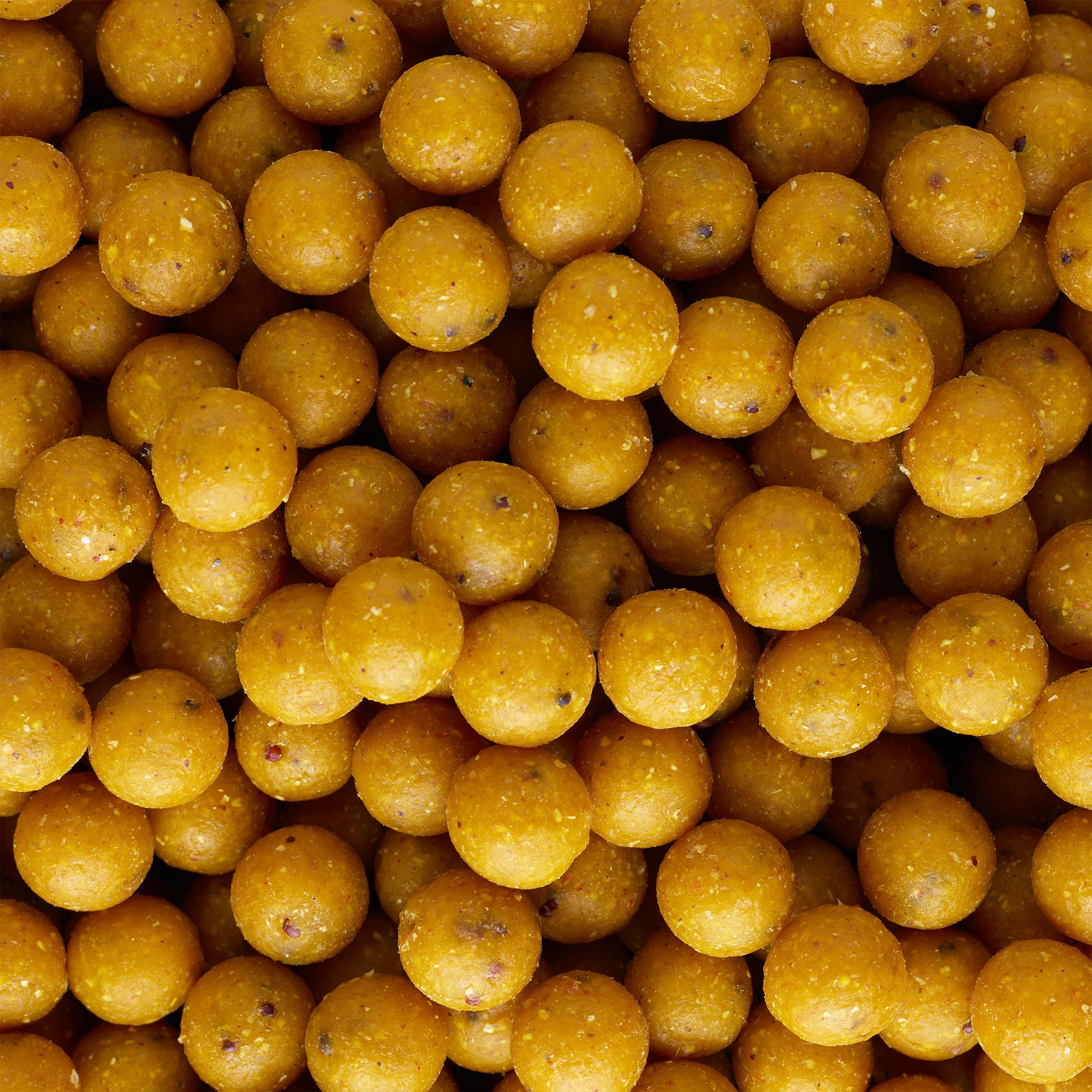 Boilies Wellmix Scopex 14mm 10kg CAPERLAN