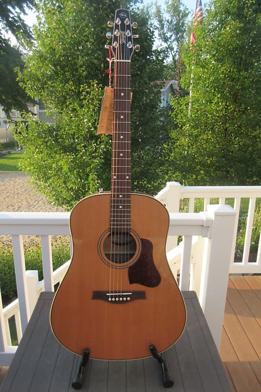 Acoustic guitar Seagull Coastline Momentum HG A/E with Gig Bag