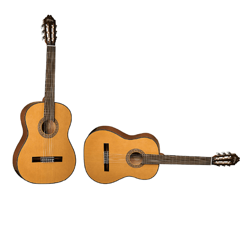 Acoustic guitar - Washburn Natural Classical acoustic guitar C40