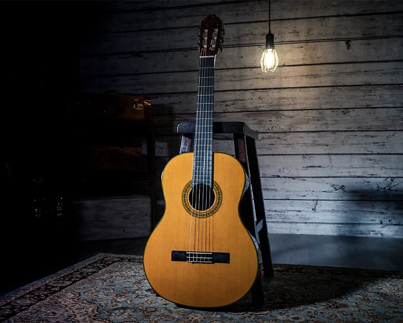 Acoustic guitar - Washburn Natural Classical acoustic guitar C40