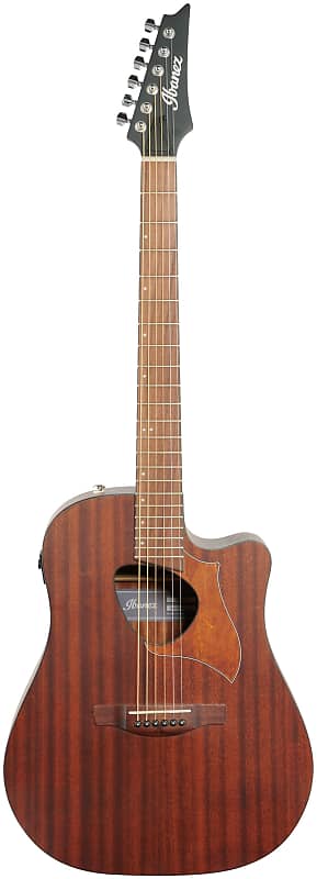 Ibanez Altstar ALT20 Electro-Acoustic Guitar, Natural Open Port ALT20OPN