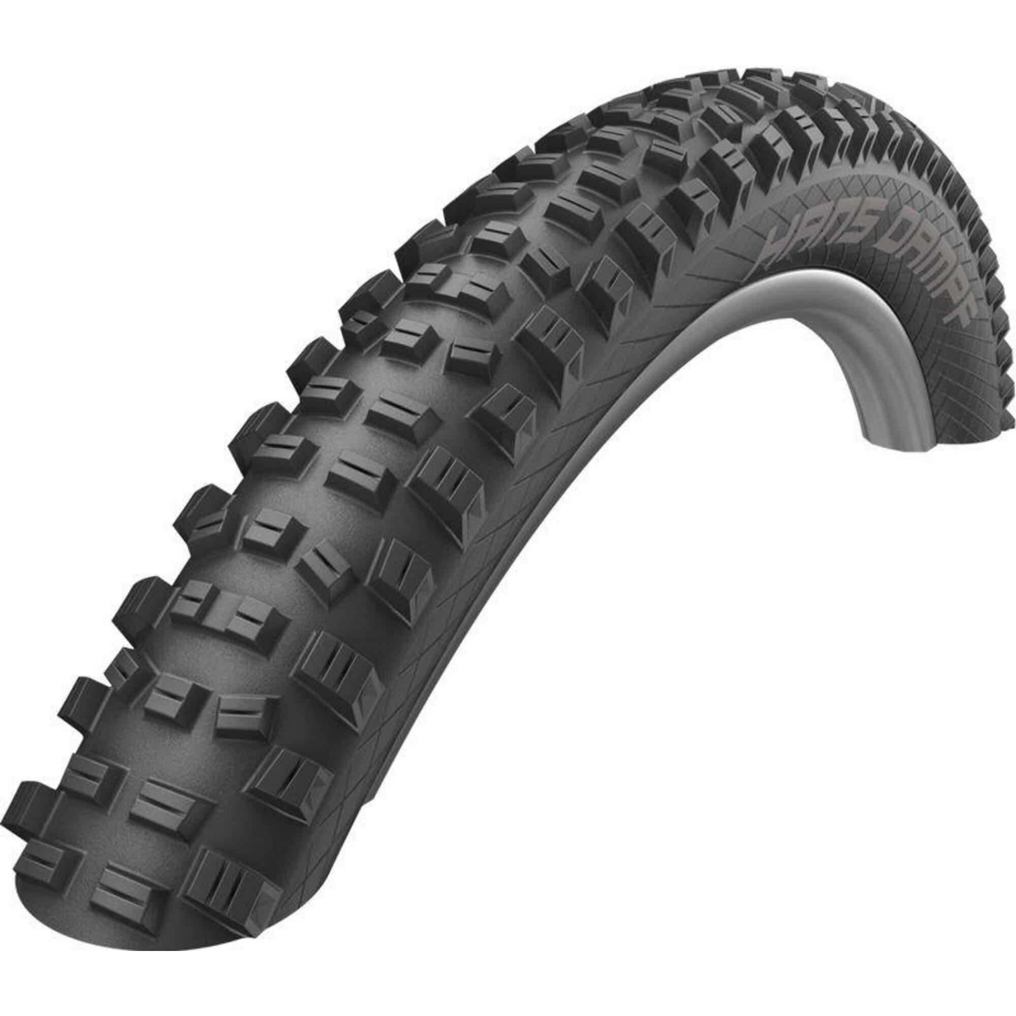 إطارات قابلة للطي Hans Dampf - TL Ready - Addix Performance SCHWALBE، أسود أسود