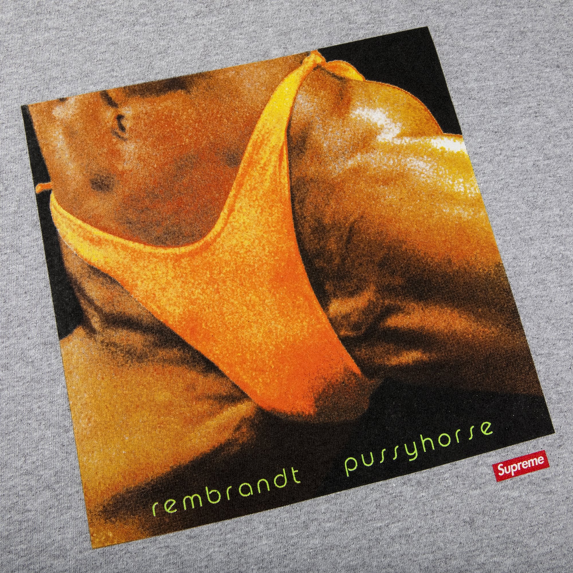 تي شيرت Supreme x Butthole Surfers Rembrandt Pussyhorse، باللون الرمادي الفاتح