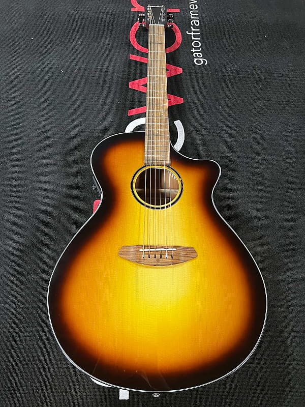 جيتار صوتي كهربائي Breedlove ECO Discovery S Concerto CE - Edgeburst