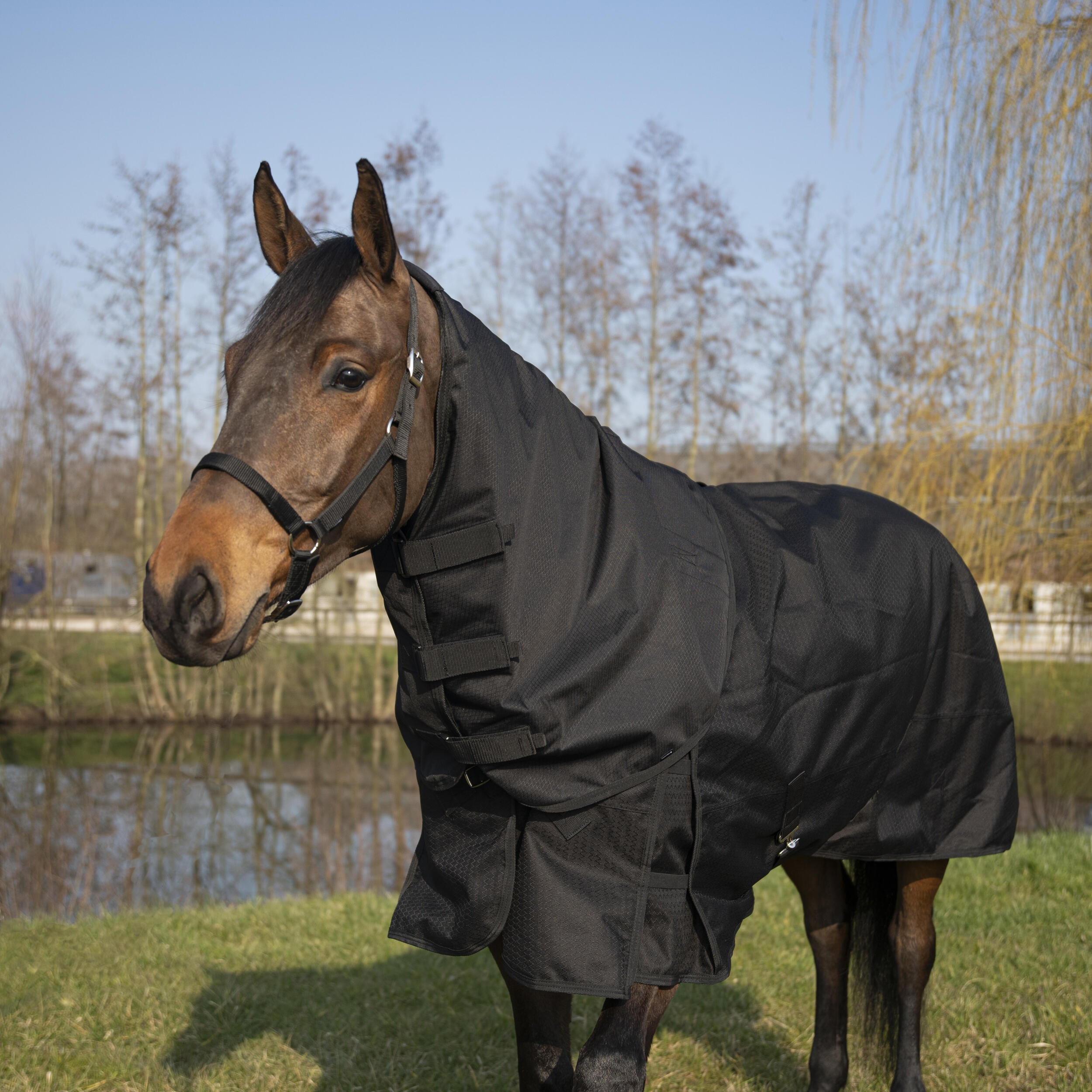 Neck cover Fouganza AllWeather Light Horse waterproof, black