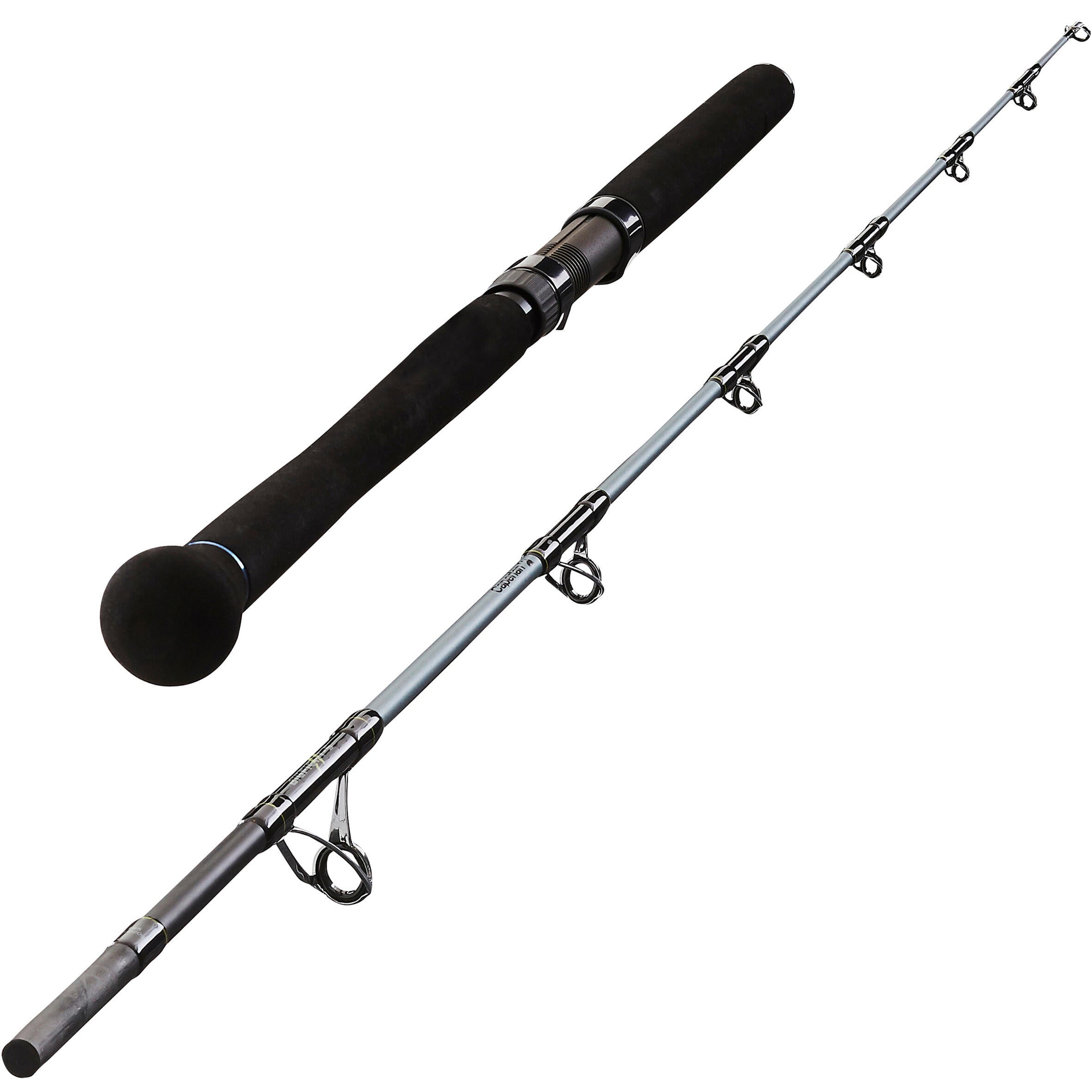 Fishing rod for catfish Bighfight-5 240 60/150 g CAPERLAN, black/blue-gray