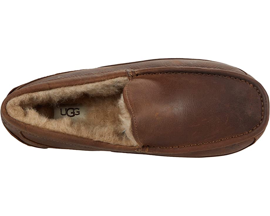 شبشب Ascot UGG، بني