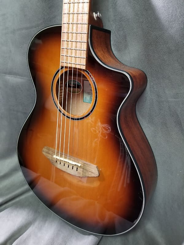 Breedlove Discovery S Companion CE Edgeburst