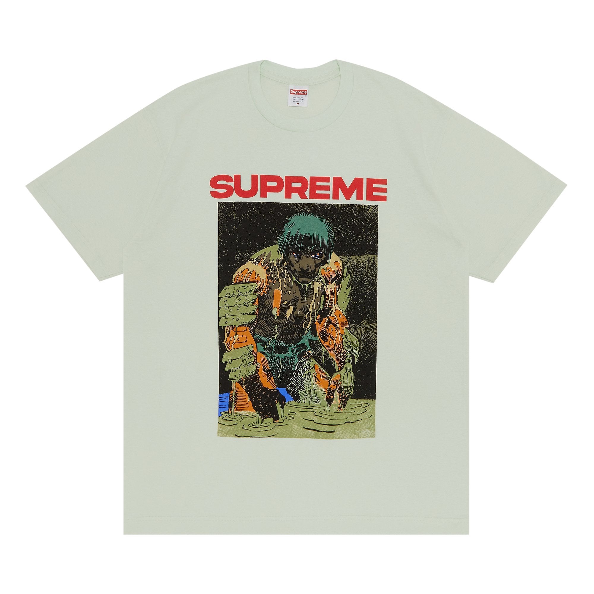 Supreme Ronin T-Shirt, Pale Green