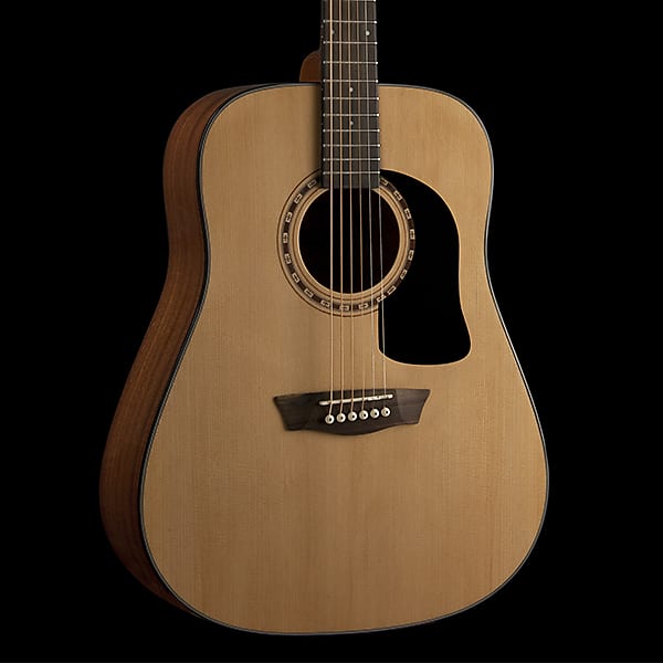 Acoustic guitar Washburn AD5K Apprentice D5 Series Dreadnought Mahogany Neck 6-String Acoustic Guitar w/Hard Case