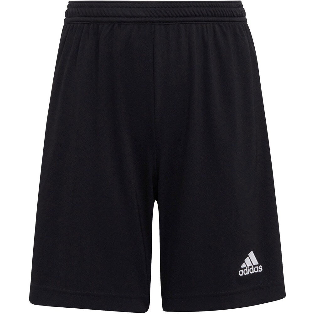 Regular training shorts ADIDAS PERFORMANCE Entrada 22, black