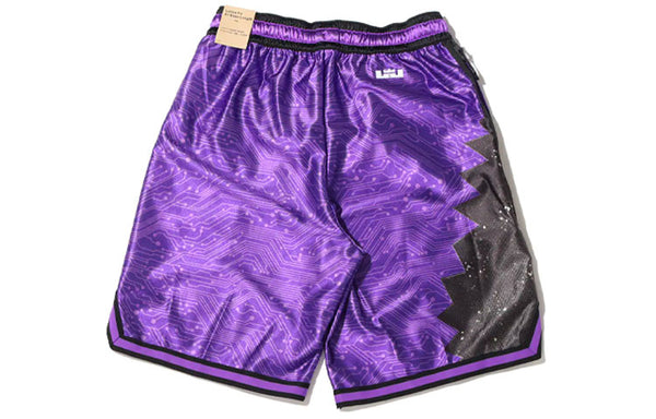 Nike x Space Jam:A New Legacy LeBron Basketball Shorts 'Purple', purple