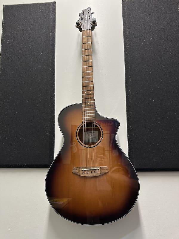 جيتار صوتي Breedlove Discovery S Concert CE-Edgeburst