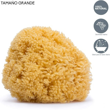 Large natural sponge Suavi, Suavinex