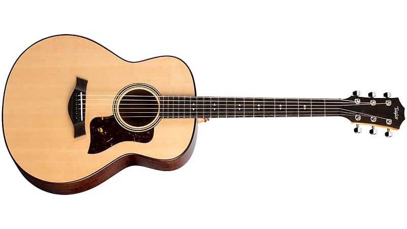 Taylor GT Urban Ash Acoustic Guitar - Sitka Spruce Top, Urban Ash Back and Sides w/ Aerocase Case