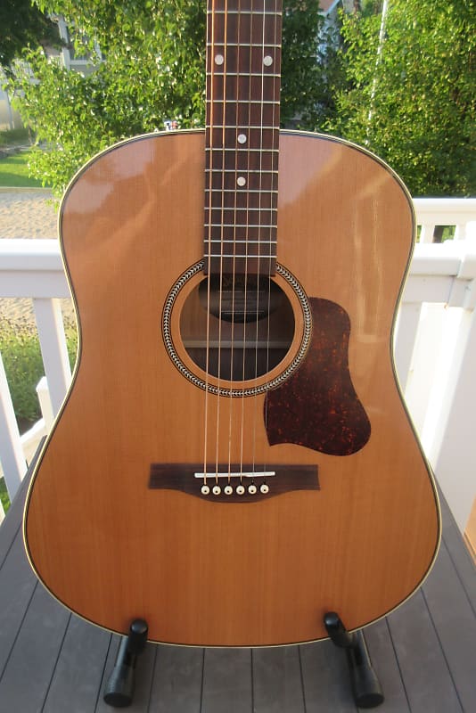 Acoustic guitar Seagull Coastline Momentum HG A/E with Gig Bag