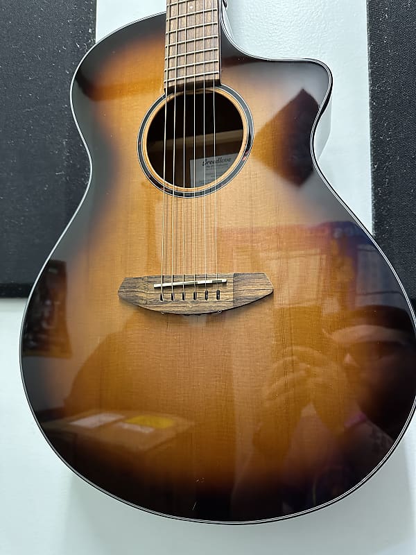 جيتار صوتي Breedlove Discovery S Concert CE-Edgeburst