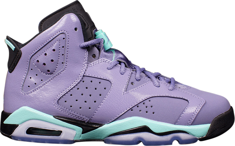 Air Jordan 6 Retro GG Iron Purple sneakers, purple