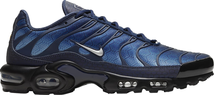 Nike Air Max Plus sneakers, blue