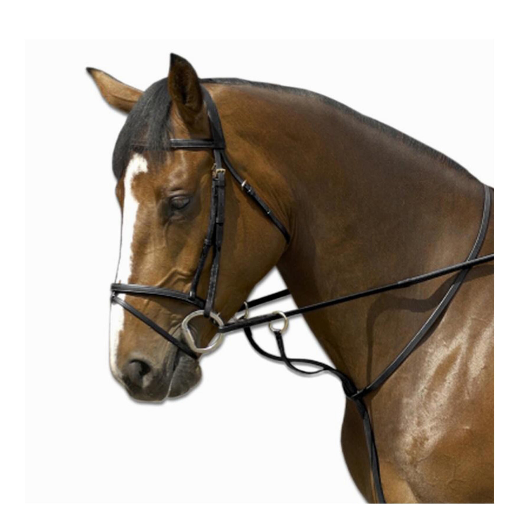 Schooling Fouganza martingale for horse, black