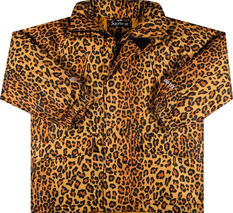 Supreme GORE-TEX 700-Fill Down Parka 'Leopard', brown