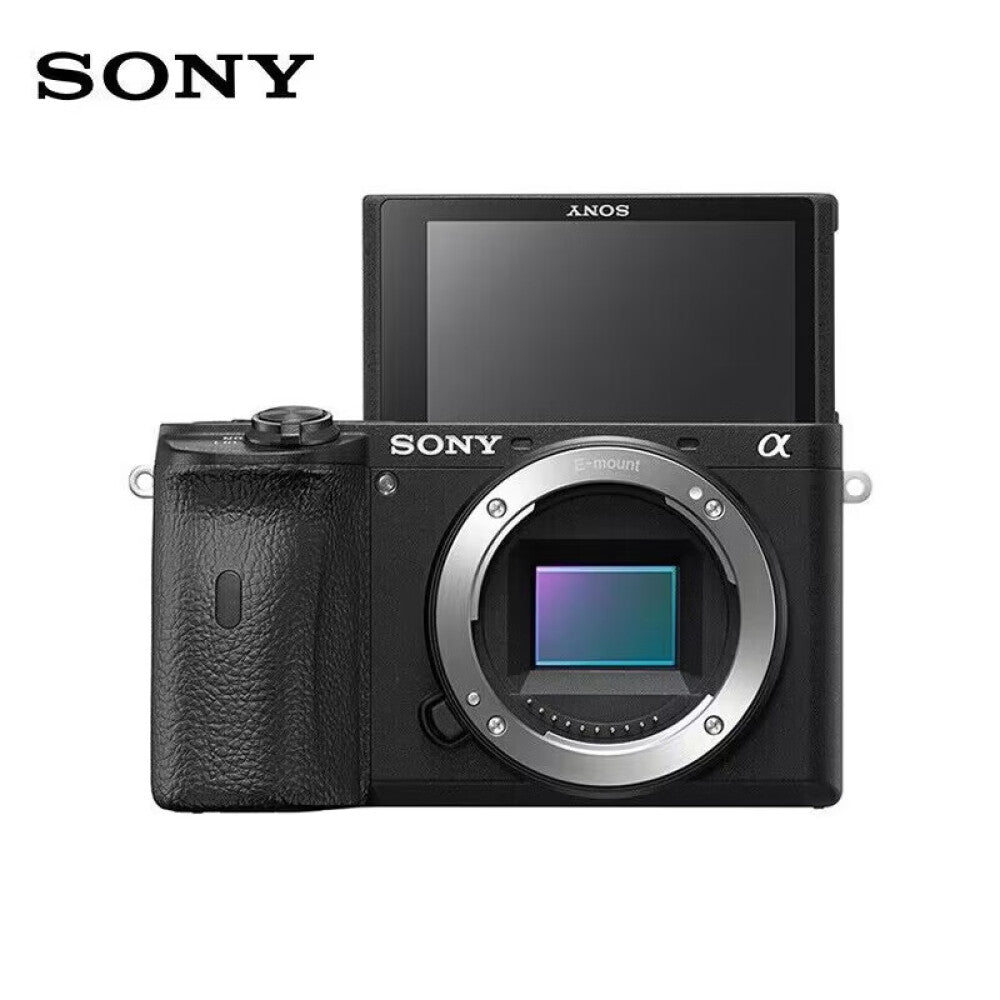 Sony Alpha 6600 APS-C camera (ILCE-6600/A6600) black