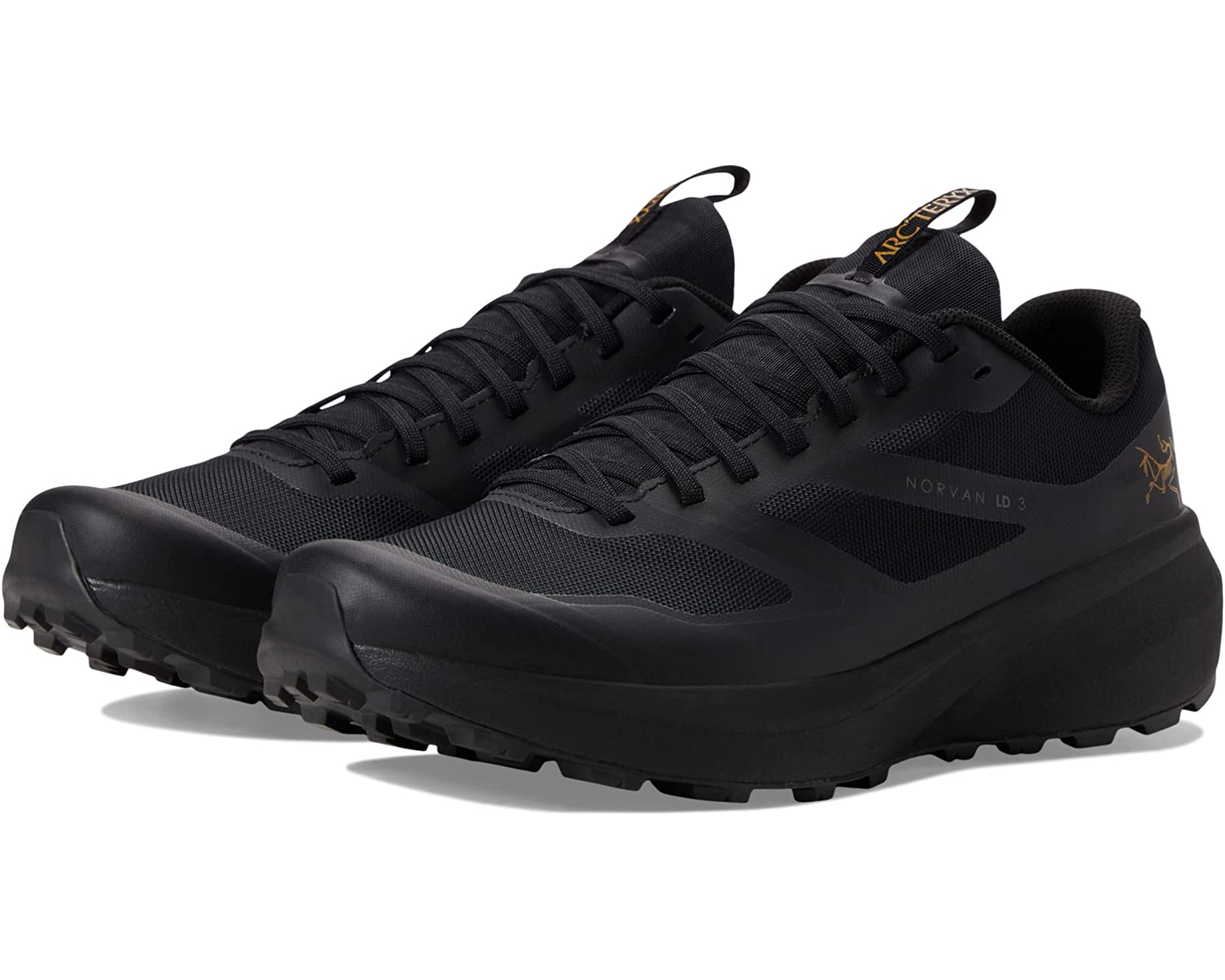 Norvan LD 3 GTX Arc'teryx sneakers, black