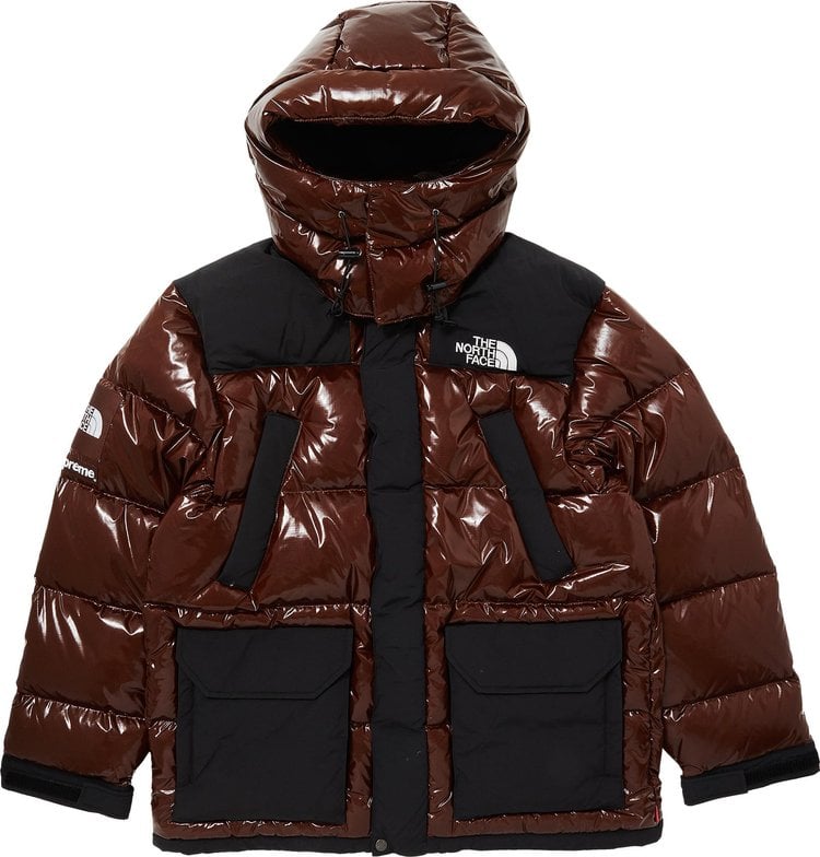 Supreme x The North Face 700-Fill Down Parka 'Brown', brown