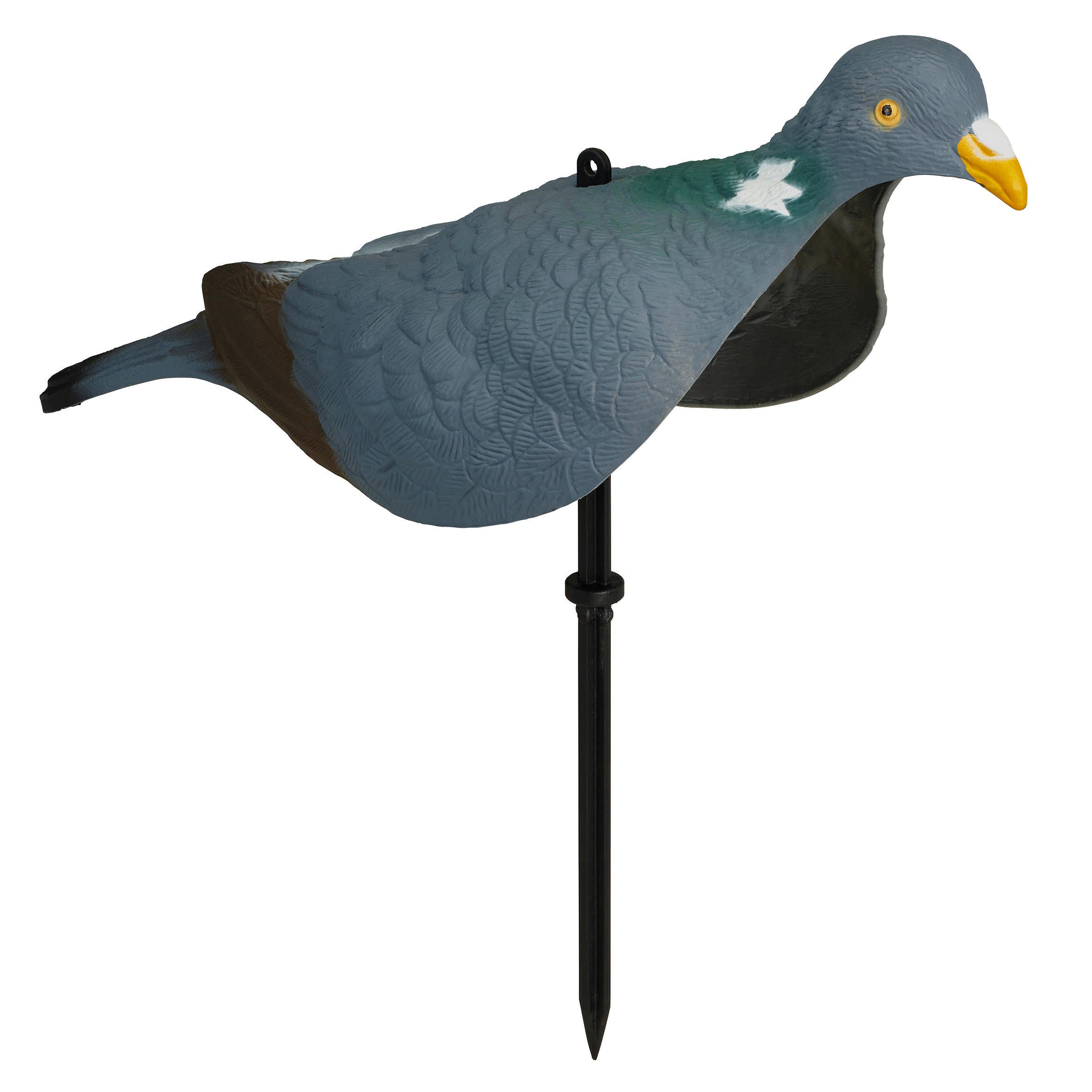 3D decoy pigeon with pike SOLOGNAC