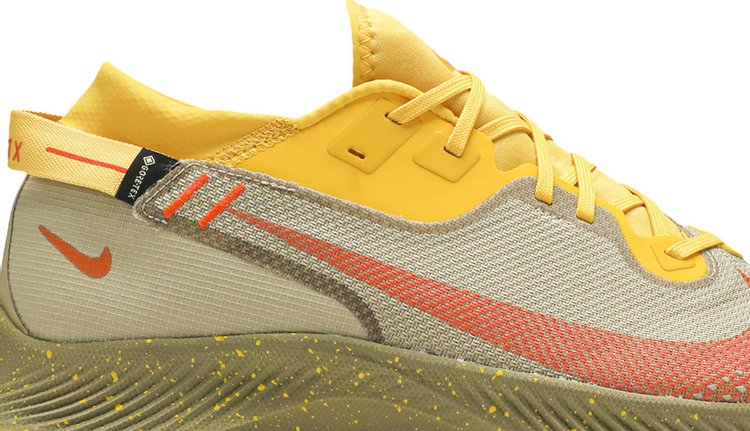 Nike Pegasus Trail 2 Gore-Tex 'Dark Sulfur Orange', Brown