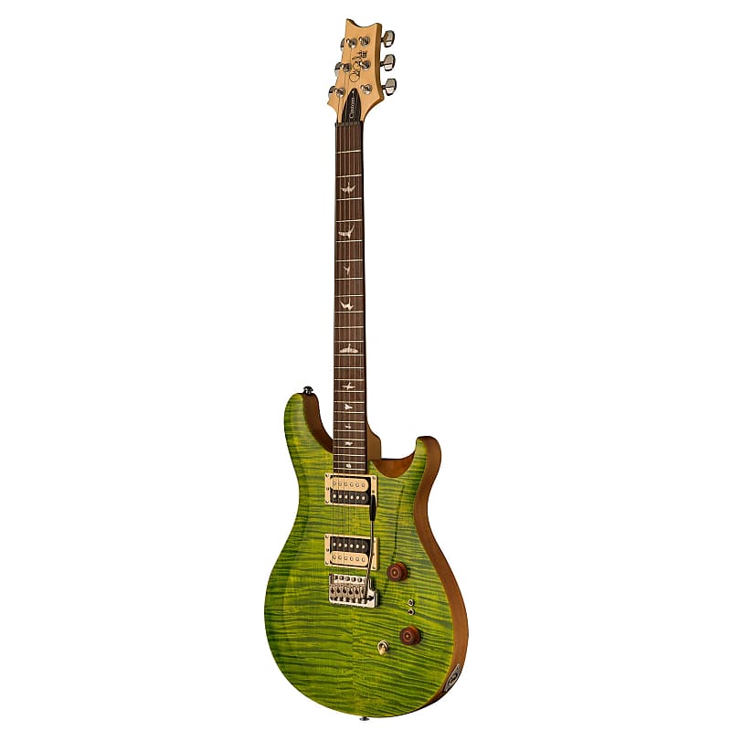 Paul Reed Smith SE Custom 24-08 - Eriza Verde PRS