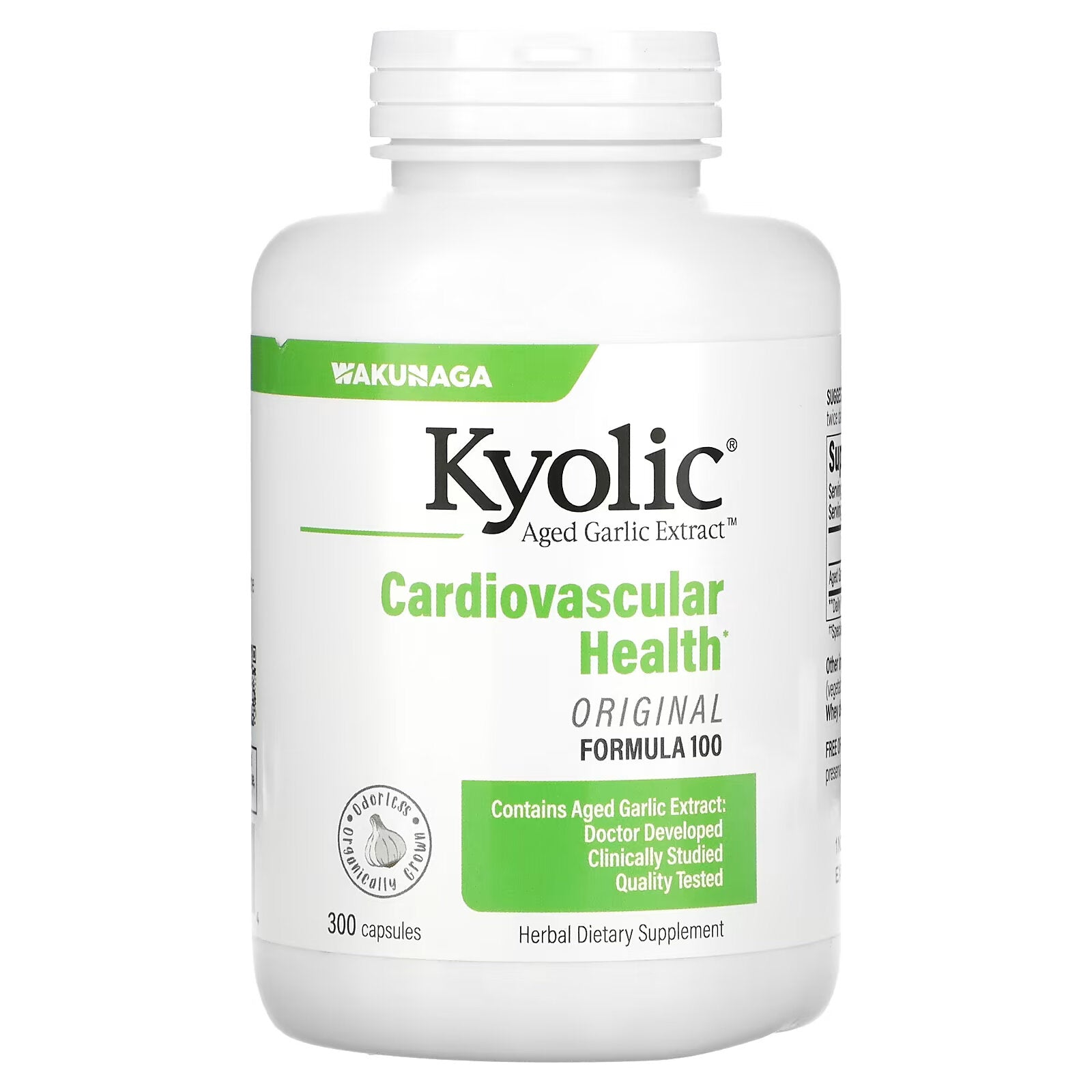 Kyolic, Aged Garlic Extract, Cardiovascular, Formula 100, 300 Capsules